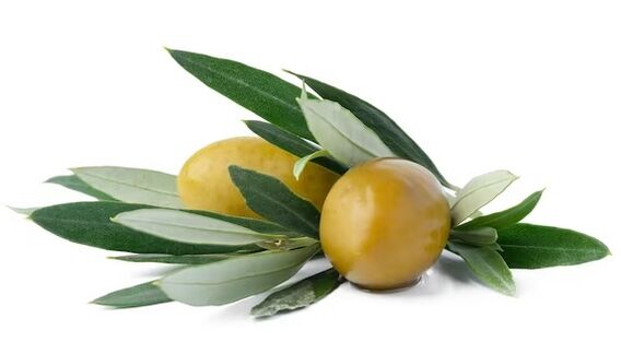 Diaform Plus contains olive leaves extract
