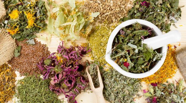 Medicinal plants helping to fight diabetes mellitus