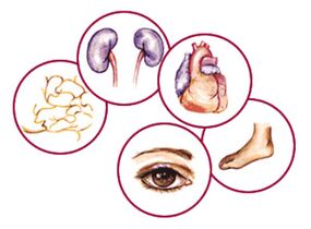Organs to which the complications of diabetes mellitus